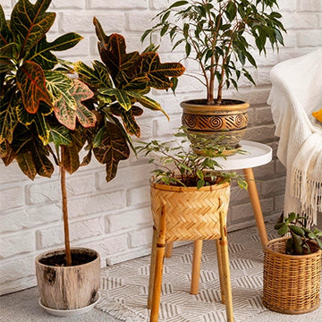 home decore